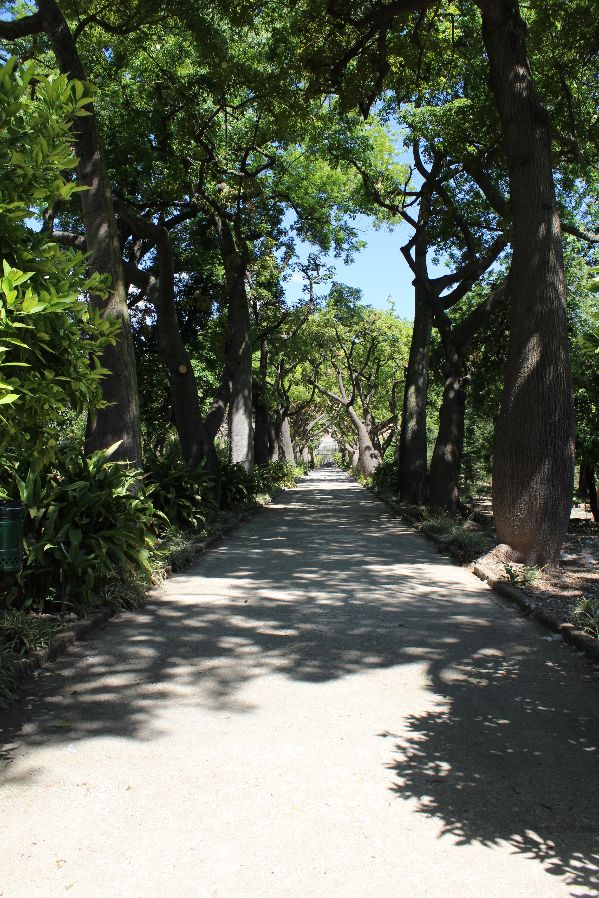 studio legale avvocato Stefano Giovannini di Imola tutela verde pubblico e privato